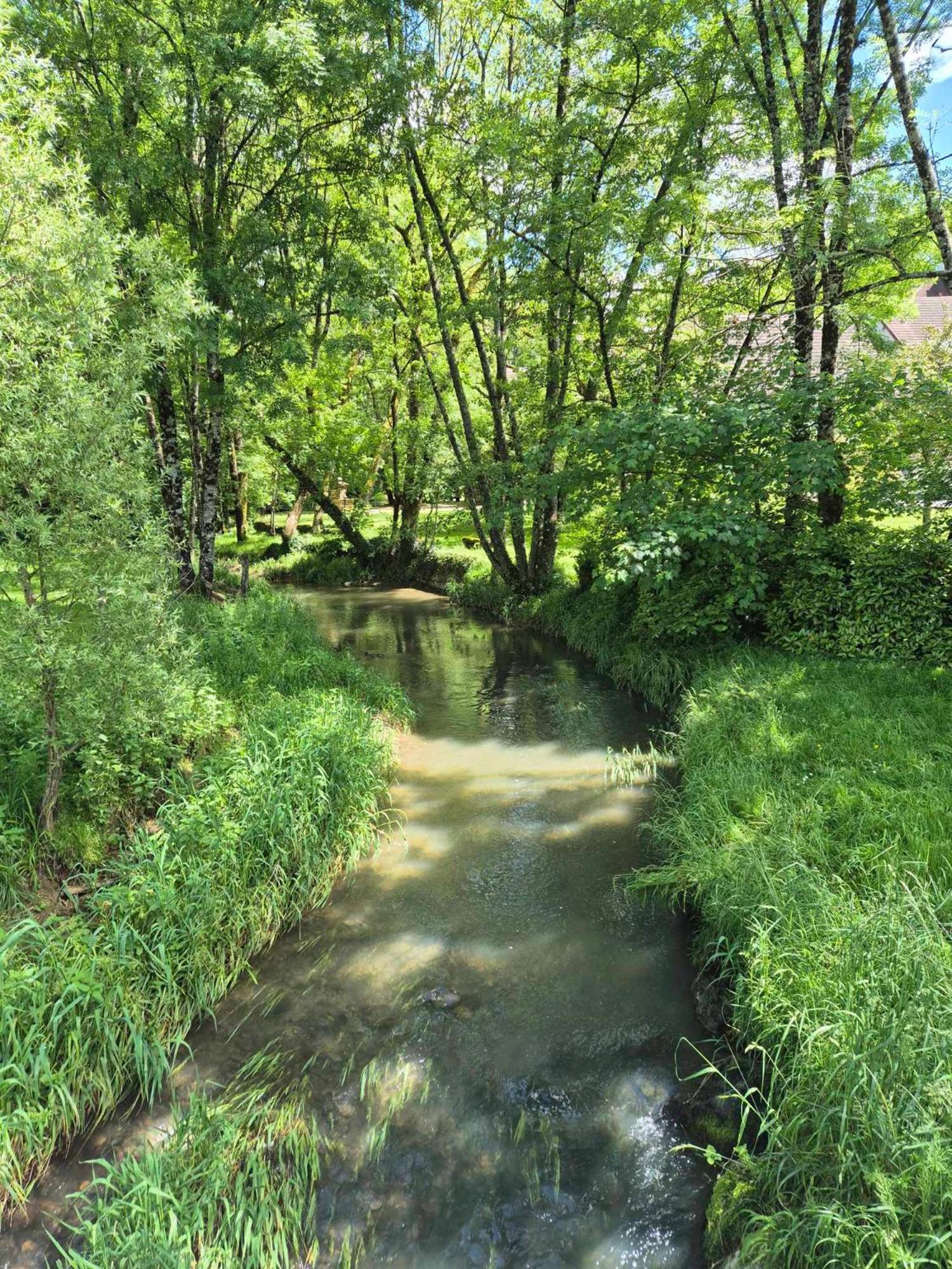 Au Lavoir Du Serein "L'Eventail" Saint-Germain-lès-Arlay Exteriér fotografie
